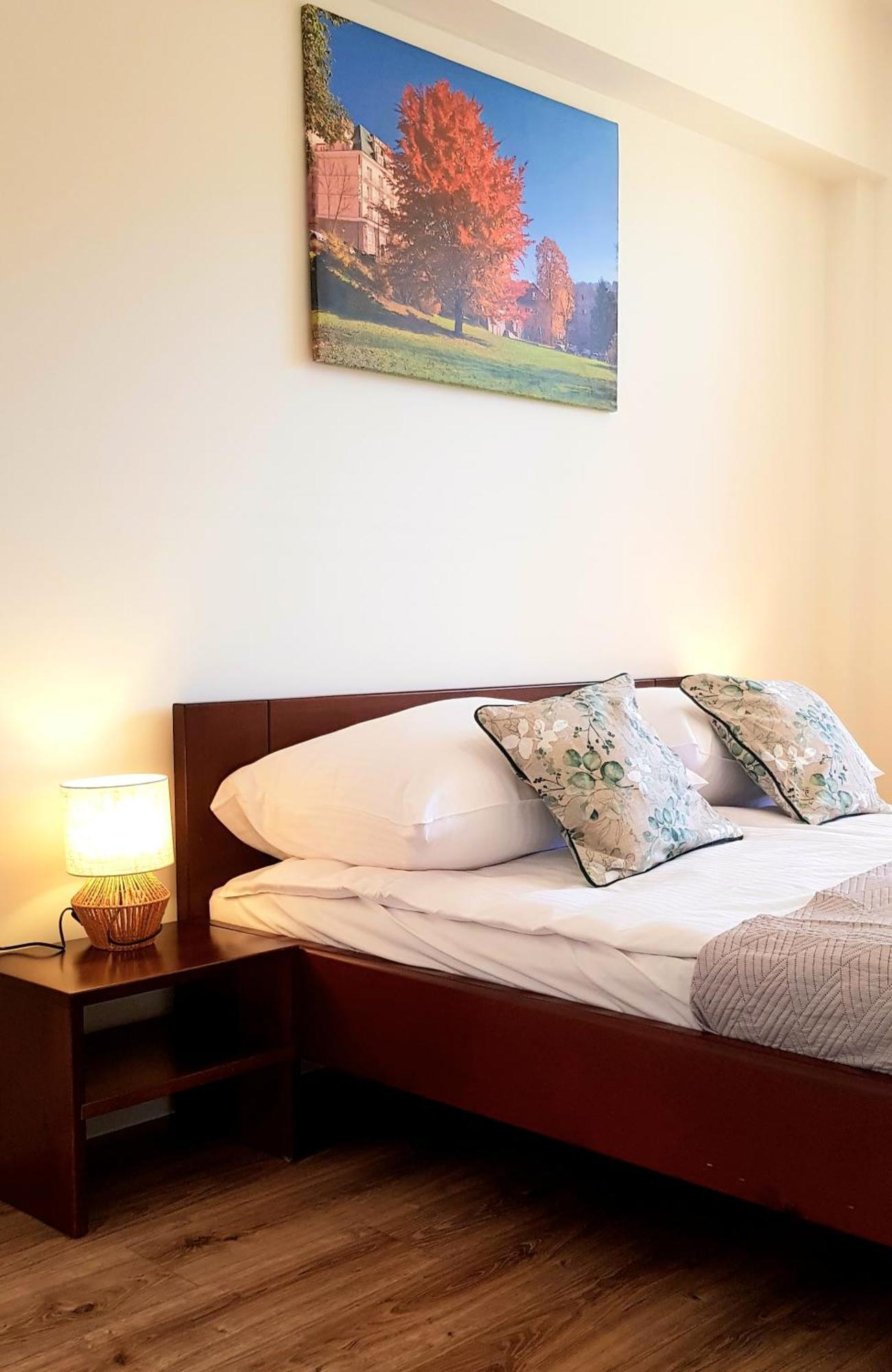 Apartamenty City Center - Zdrojowe Krynica-Zdrój Esterno foto